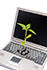A laptop computer with a seedling growing out of the keyboard